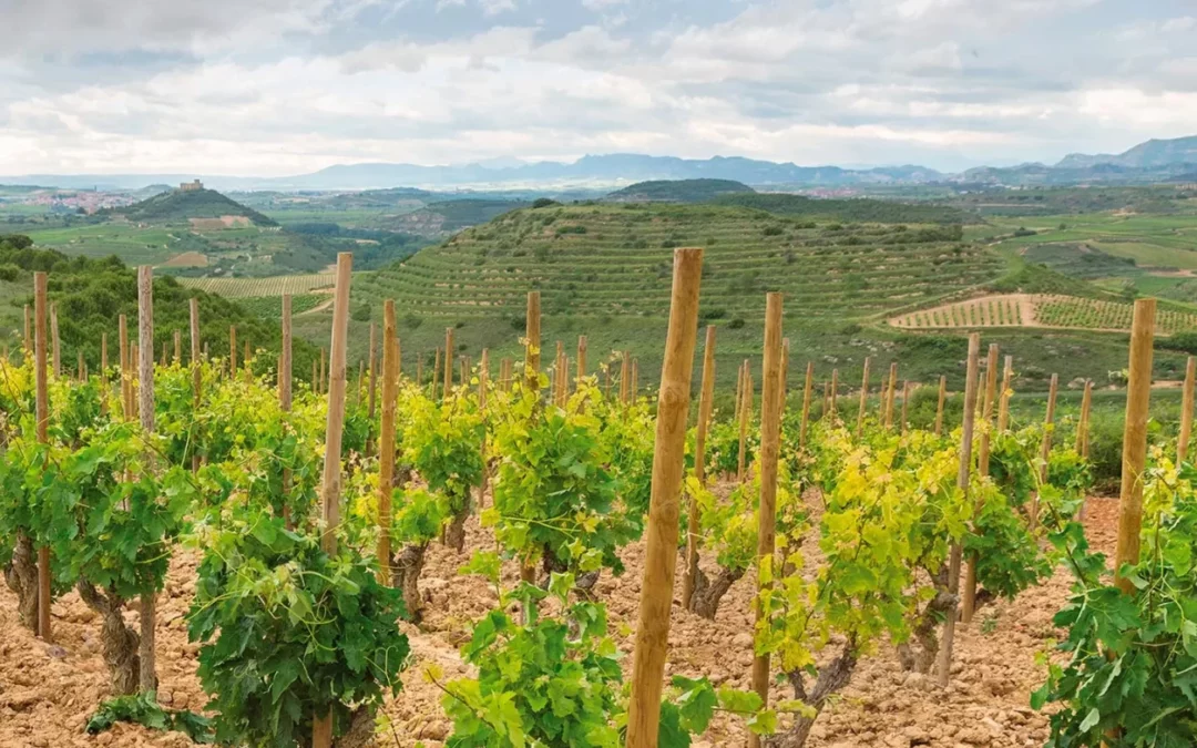 Weinregion Rioja