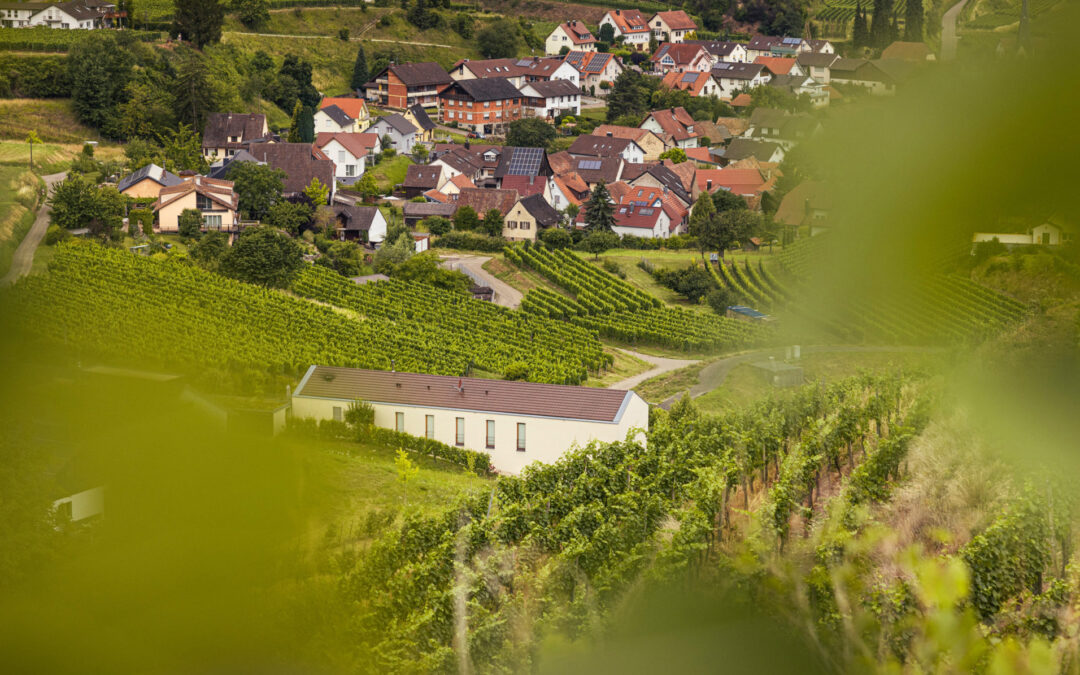 Weinregion Baden