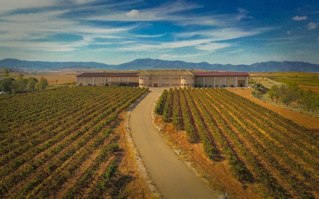 Weinregion Carinena