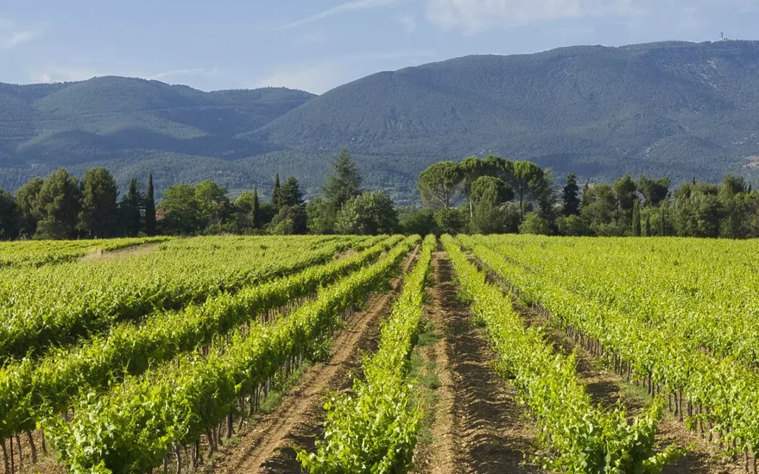 Weinregion Rhône, Luberon
